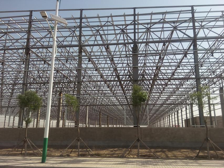 平顶山汽车工业厂房网架